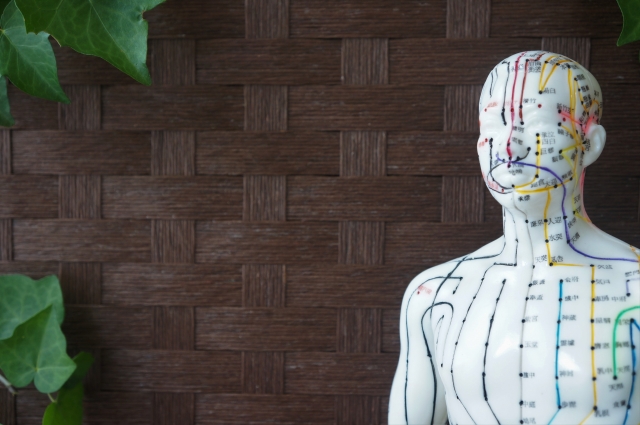 体のツボのイメージ 増尾ゆうあい整骨院・はりきゅう院